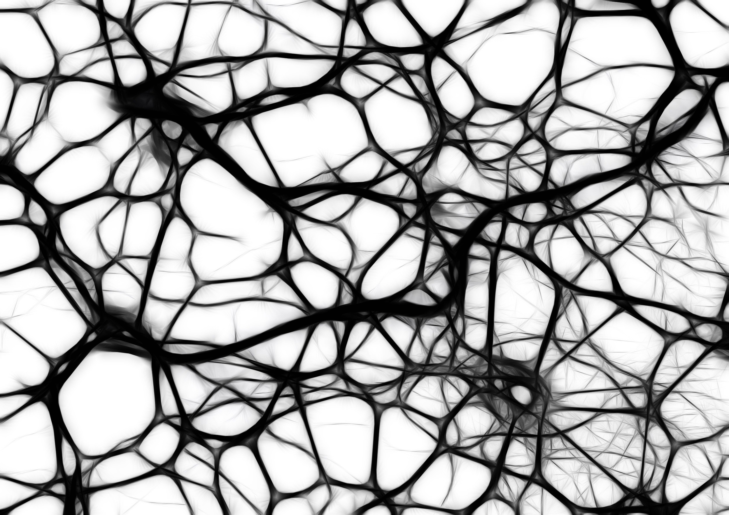 Сетка трещин. Абстрактные узоры. Абстракция клетка. Сетка нейронов. Необычные текстуры.
